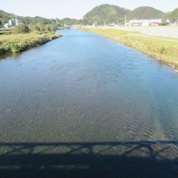 狩野川(狩野川漁業協同組合) 釣果