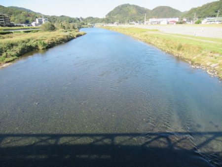 狩野川(狩野川漁業協同組合) 釣果