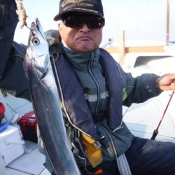 遊漁船 幸友丸 釣果