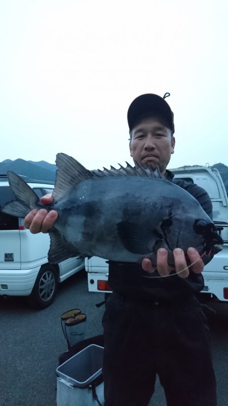 千津丸 釣果
