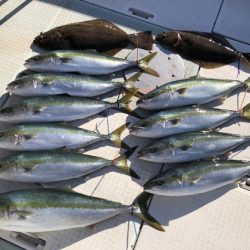 ふじしめ丸 釣果
