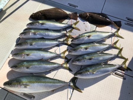 ふじしめ丸 釣果