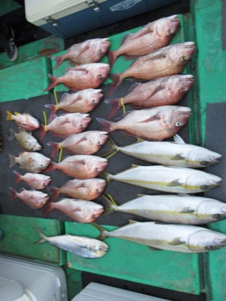 真祐丸 （しんゆうまる） 釣果