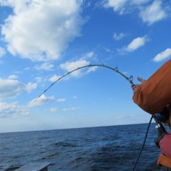 真祐丸 （しんゆうまる） 釣果