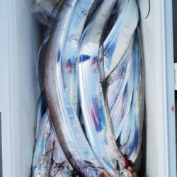 遊漁船 ニライカナイ 釣果