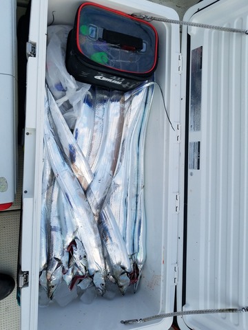 遊漁船　ニライカナイ 釣果