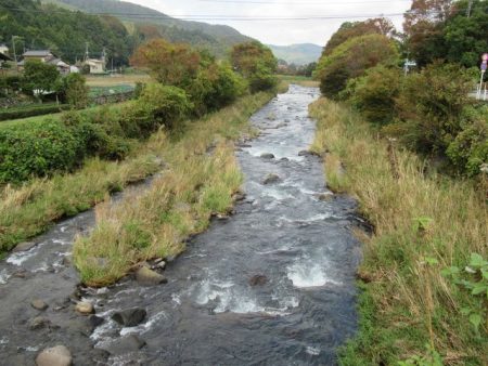 狩野川(狩野川漁業協同組合) 釣果