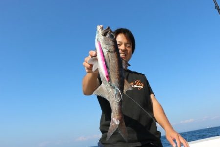 へいみつ丸 釣果