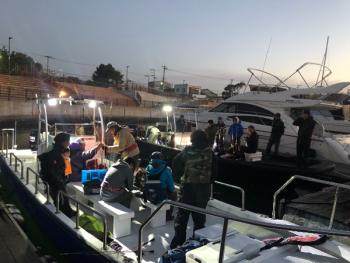 シーマジカル 釣果