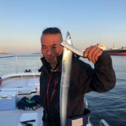 シーマジカル 釣果