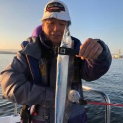 シーマジカル 釣果