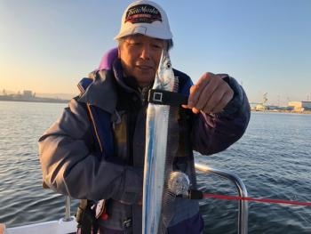 シーマジカル 釣果