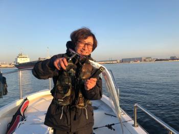 シーマジカル 釣果