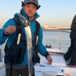 シーマジカル 釣果