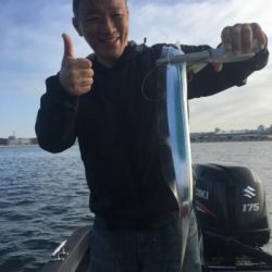 シーマジカル 釣果