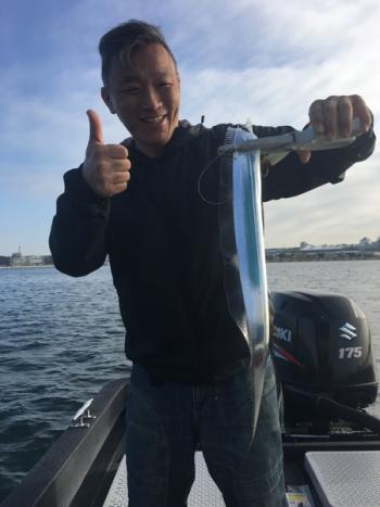 シーマジカル 釣果