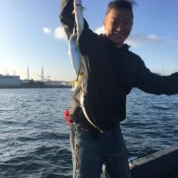 シーマジカル 釣果