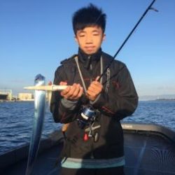 シーマジカル 釣果