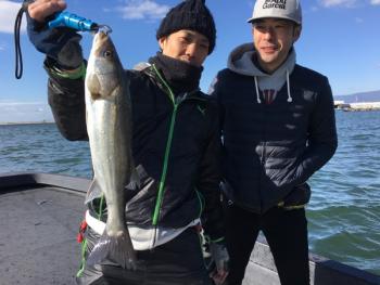 シーマジカル 釣果