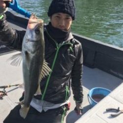 シーマジカル 釣果