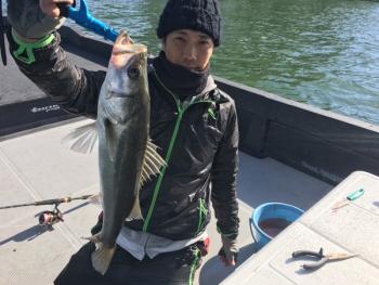 シーマジカル 釣果