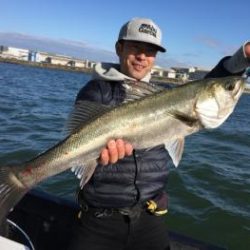 シーマジカル 釣果