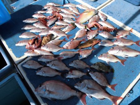 十八宝洋丸 釣果