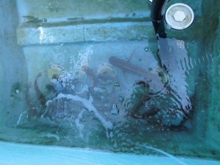 十八宝洋丸 釣果