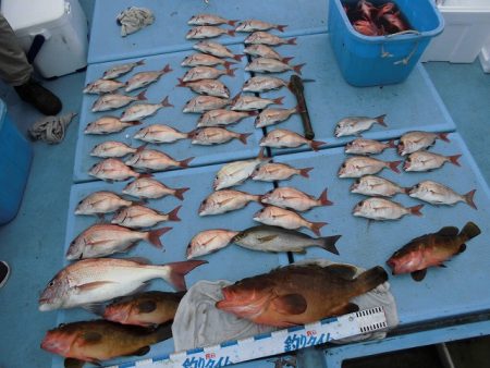 十八宝洋丸 釣果