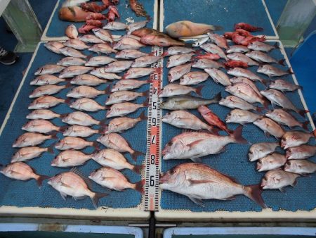 十八宝洋丸 釣果