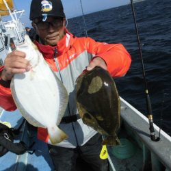 大進丸（愛知） 釣果