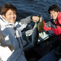 大進丸（愛知） 釣果