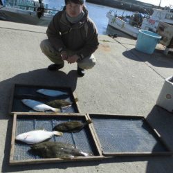 大進丸（愛知） 釣果
