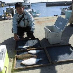 大進丸（愛知） 釣果