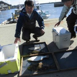大進丸（愛知） 釣果