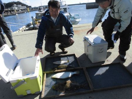 大進丸（愛知） 釣果