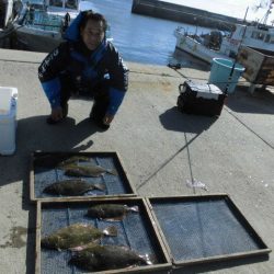 大進丸（愛知） 釣果