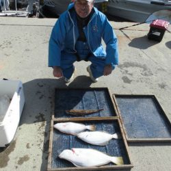 大進丸（愛知） 釣果