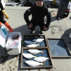 大進丸（愛知） 釣果