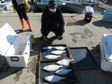 大進丸（愛知） 釣果