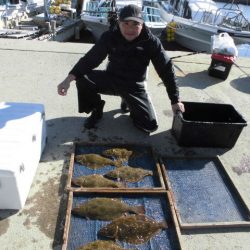 大進丸（愛知） 釣果