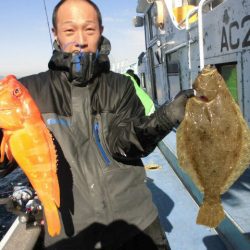大進丸（愛知） 釣果