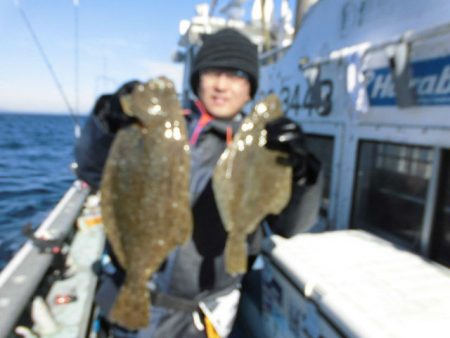 大進丸（愛知） 釣果