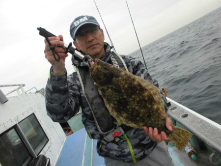 大進丸（愛知） 釣果