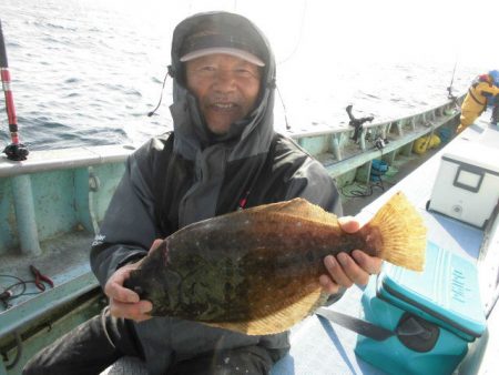大進丸（愛知） 釣果