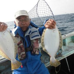 大進丸（愛知） 釣果