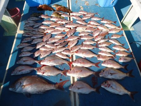 十八宝洋丸 釣果