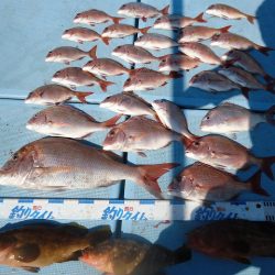 十八宝洋丸 釣果