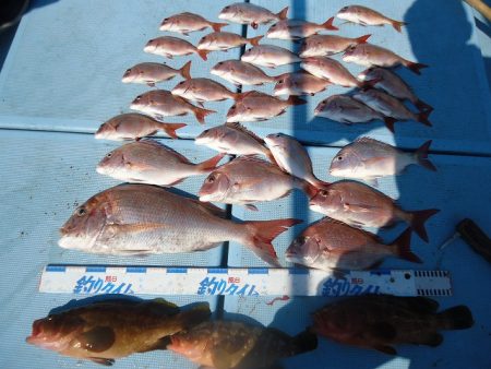 十八宝洋丸 釣果