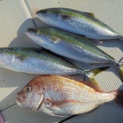ＨＡＲＵＫＡ丸　はるかまる 釣果